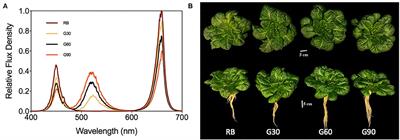 Morphology, Photosynthetic Traits, and Nutritional Quality of Lettuce Plants as Affected by Green Light Substituting Proportion of Blue and Red Light